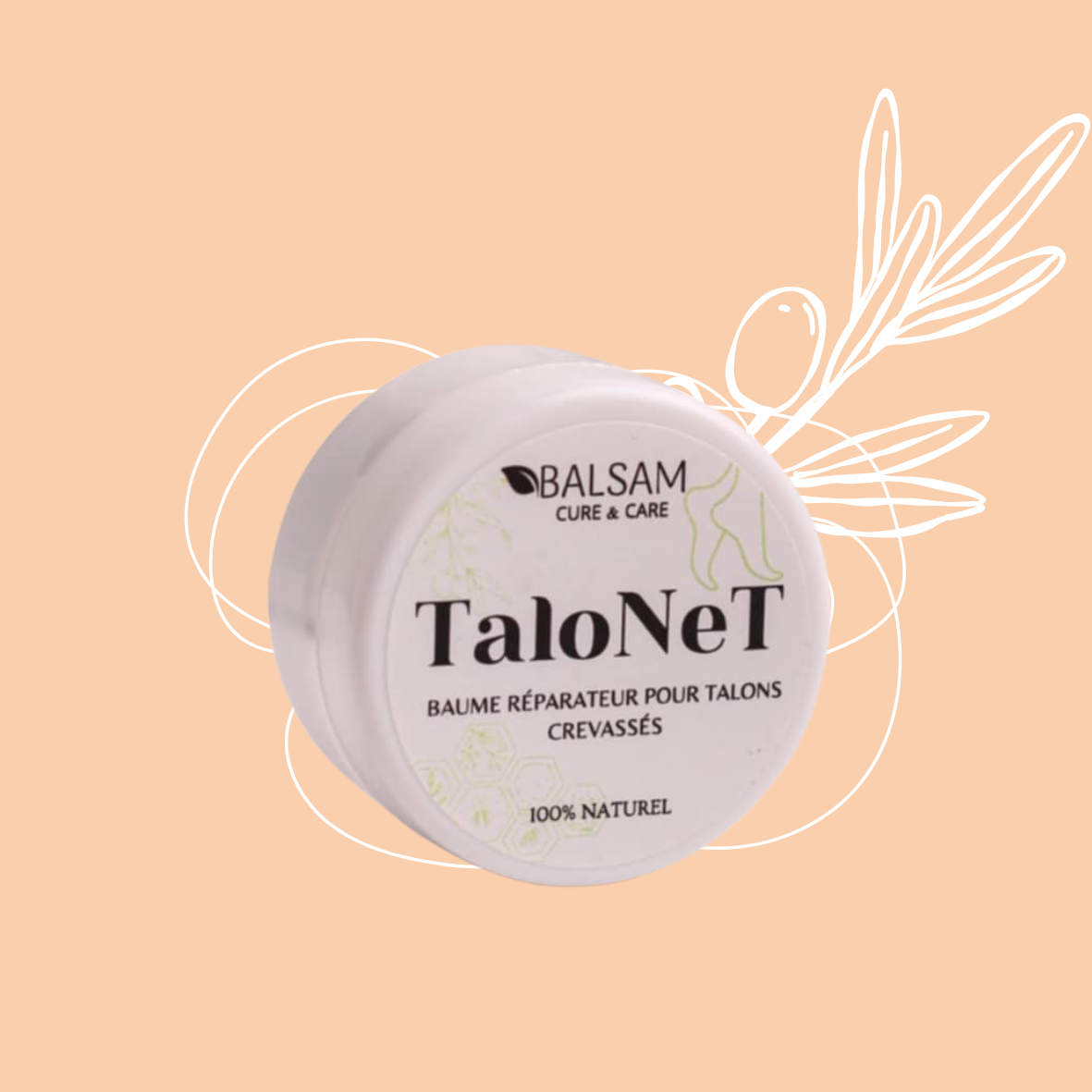 TaloNeT